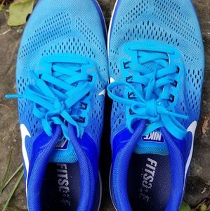 Nike Flex 2016 Run shoes